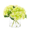 Hydrangea in Cylinder Glass Vase - Green