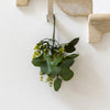 Eucalyptus & Rose Leaf Sprig - 33cm