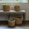 Jute And Straw Basket Jute Rope Rim with Handles - Available in 4 sizes