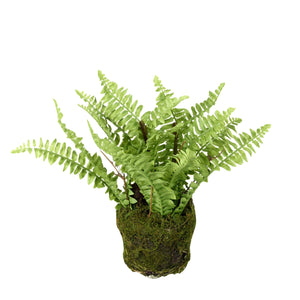 Artificial/Faux Fern in Soil