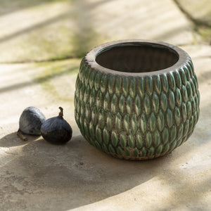 Green Armadillo Plant Pot - Small  Edit alt text