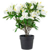 White Faux Azalea in Pot