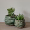 Green Armadillo Plant Pot - Small  Edit alt text