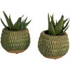 Green Armadillo Plant Pot - Small  Edit alt text